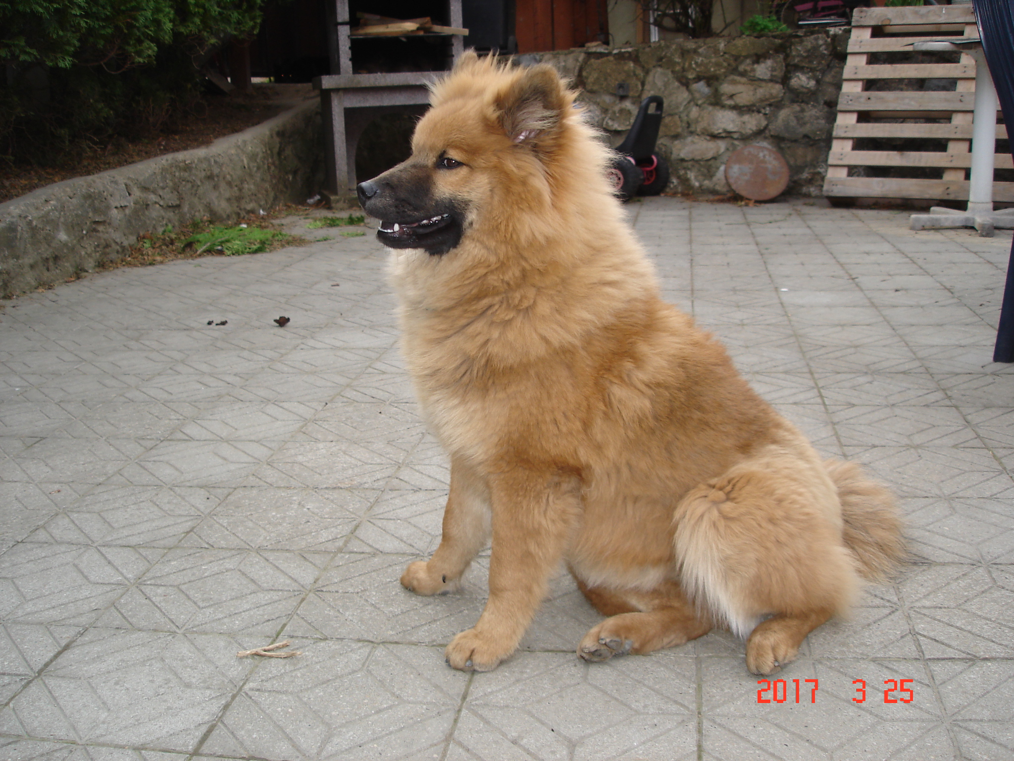 Bina 2